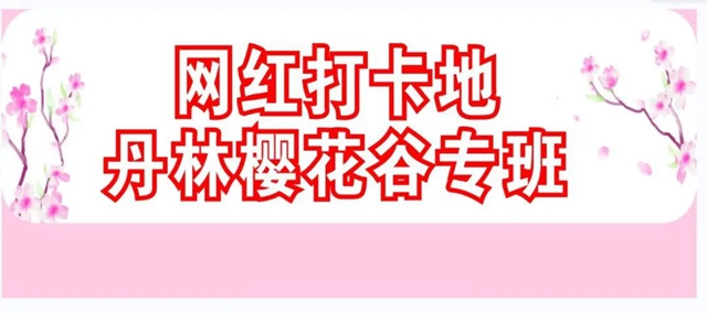 专2.jpg