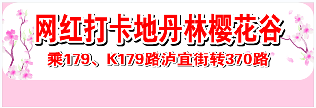 专3.png