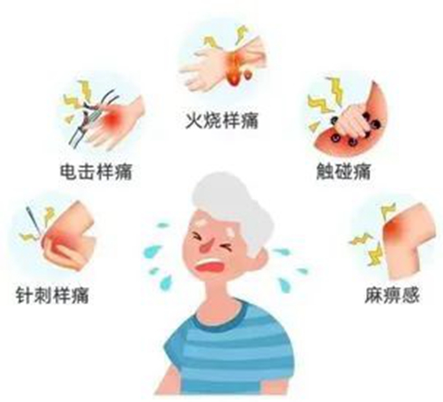 【关注】可怕的“蛇缠腰”,缠满一圈就会死人吗?(图8) 微信图片_20240209092843.jpg