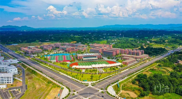 “泸”力跃升，中国西部工匠城渐入佳境