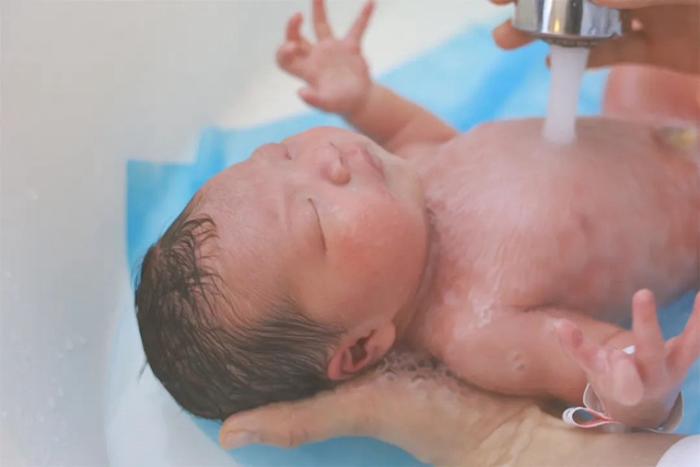 龙宝宝上线！新年第一声嗷呜~~