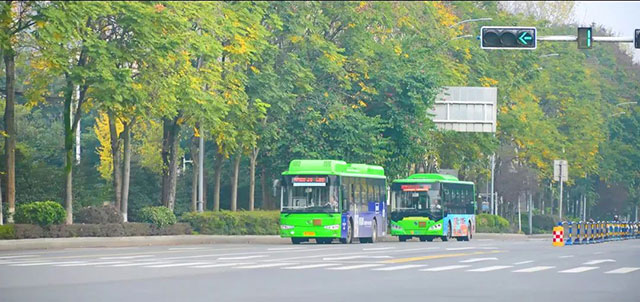 不负好天气,一起坐泸州公交享受春日暖阳吧~(图1) 1.jpg