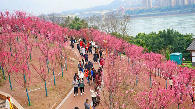 不负好天气,一起坐泸州公交享受春日暖阳吧~(图2) 2.jpg