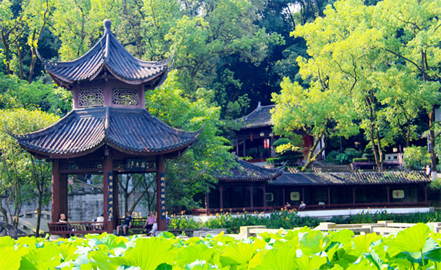 不负好天气,一起坐泸州公交享受春日暖阳吧~(图3) 3.jpg