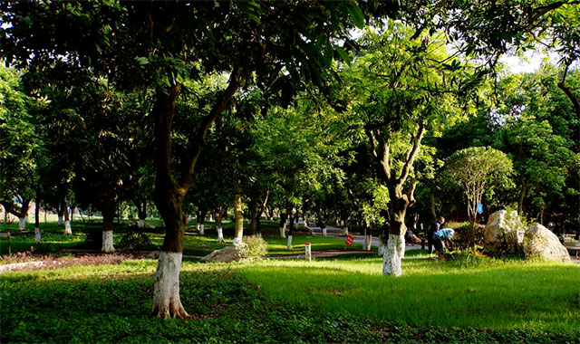 不负好天气,一起坐泸州公交享受春日暖阳吧~(图5) 5.jpg