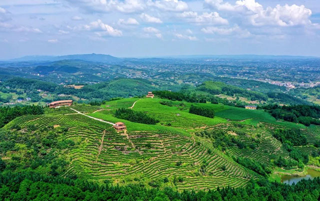 前方到站——国家3A级景区:泸县“道林沟”(图1) 1.jpg