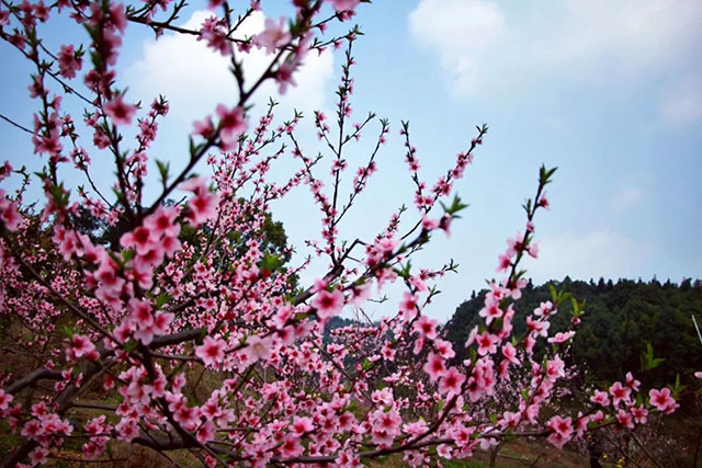 前方到站——国家3A级景区:泸县“道林沟”(图5) 5.jpg