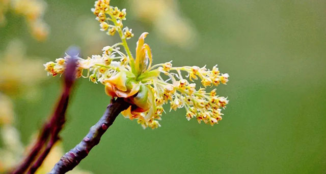 前方到站——国家3A级景区:泸县“道林沟”(图8) 8.jpg