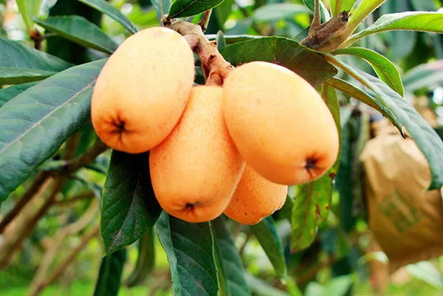 前方到站——国家3A级景区:泸县“道林沟”(图23) 23.jpg