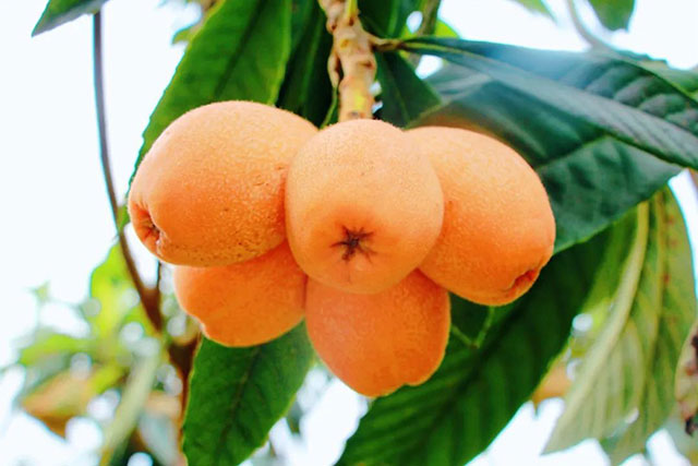 前方到站——国家3A级景区:泸县“道林沟”(图24) 24.jpg