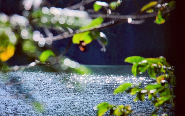 前方到站——国家3A级景区:泸县“道林沟”(图28) 28.jpg