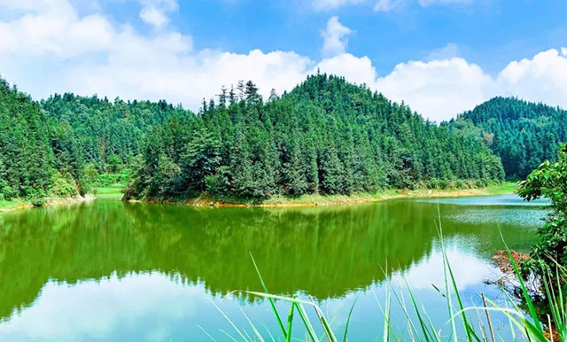 前方到站——国家3A级景区:泸县“道林沟”(图16) 16.jpg