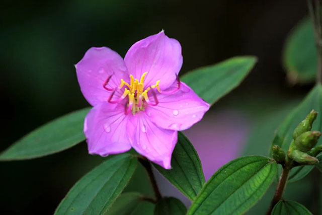 前方到站——国家3A级景区:泸县“道林沟”(图20) 20.jpg