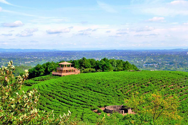 前方到站——国家3A级景区:泸县“道林沟”(图21) 21.jpg