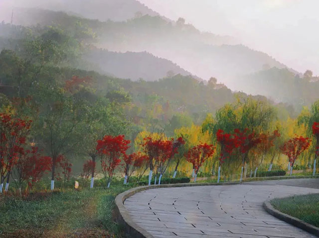 前方到站——国家3A级景区:泸县“道林沟”(图37) 37.jpg