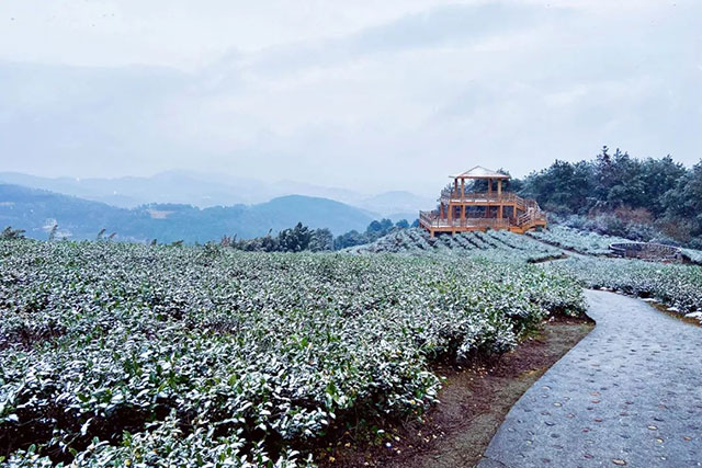 前方到站——国家3A级景区:泸县“道林沟”(图38) 39.jpg