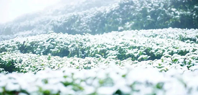 前方到站——国家3A级景区:泸县“道林沟”(图43) 44.jpg