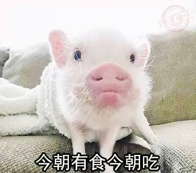 【围观】春节，你可以这样“胡吃海喝”