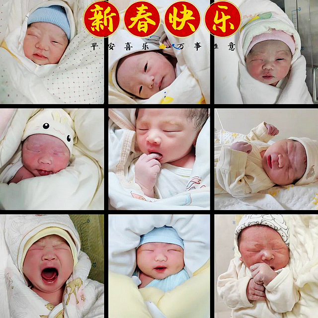 【喜迎新生】第一批“龙宝宝”来了,快来沾沾喜气吧!(图5) nEO_IMG_5.jpg