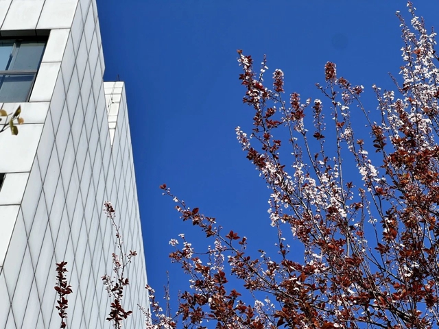 泸州市人民医院公开招聘护士！欢迎你的加入~