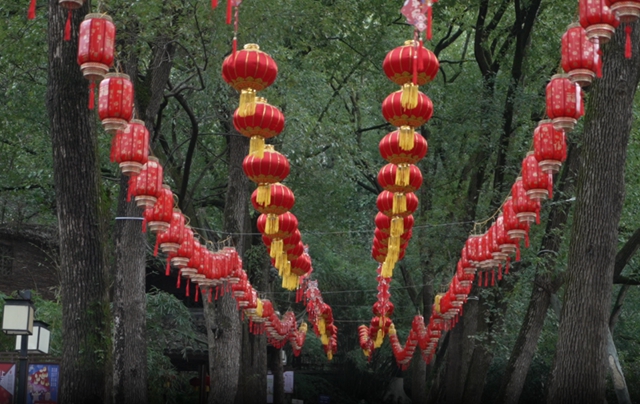 泸州:猜灯谜、套龙柱……忠山公园多彩元宵活动等你来!(图4) 4.jpg