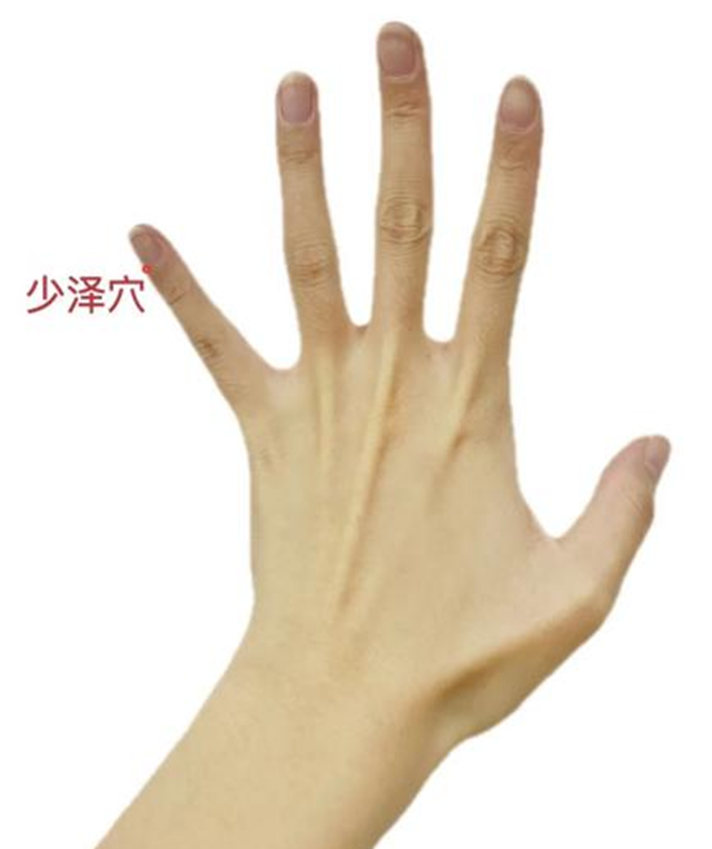 微信图片_20240222105653.png