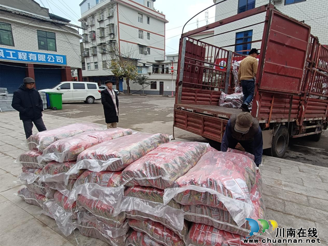 宜宾市南溪区长兴镇:备战春耕 万亩高粱种子免费送(图1) 图片1.png