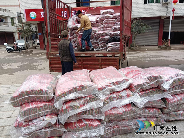 宜宾市南溪区长兴镇:备战春耕 万亩高粱种子免费送(图2) 图片2.png