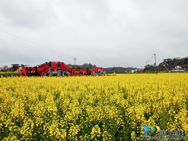 相约泸县 漫步花海丨第四届泸县谭坝菜花节暨泸县粮油现代农业园区乡村文化节开幕
