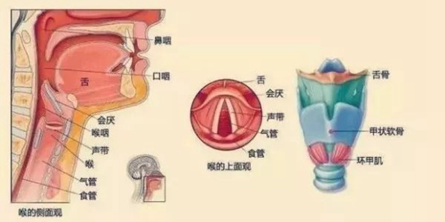 微信图片_20240227090249.jpg