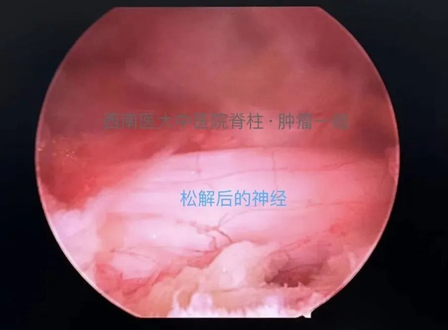 微信图片_20240229092424.jpg