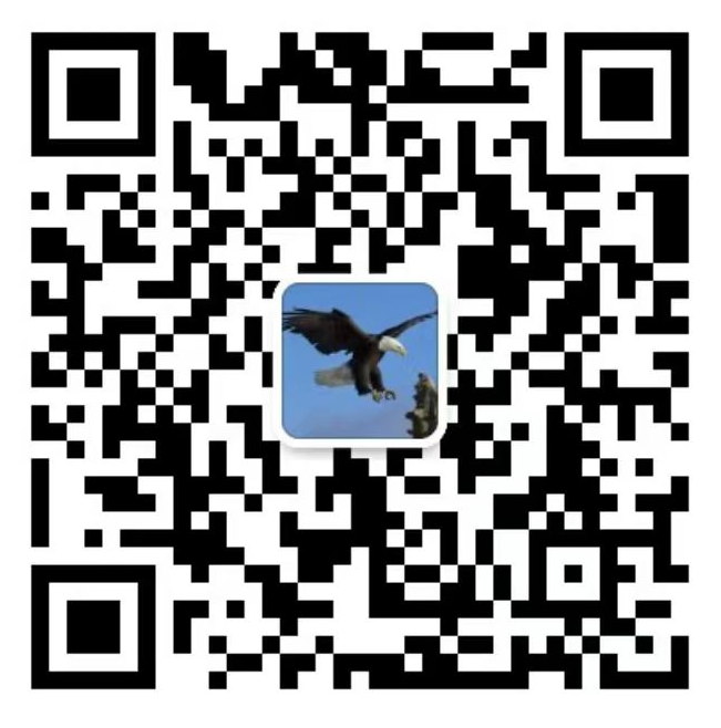 3·3世界野生动植物日 泸州邀你来观鸟(图2) 林2.png