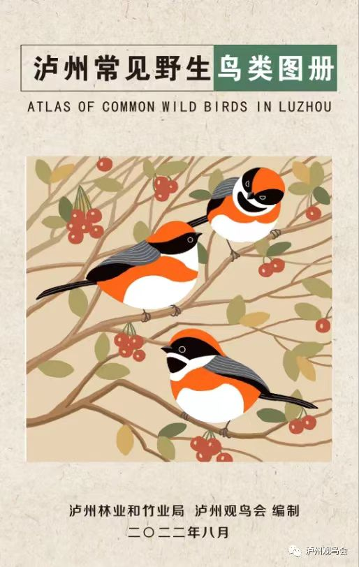 3·3世界野生动植物日 泸州邀你来观鸟(图3) 林3.png