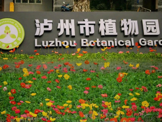 这些春日踏青好去处,让我们坐上公交出发吧~(图2) 微信图片_20240301105955.jpg