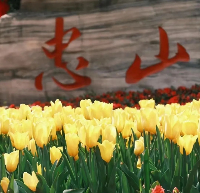 这些春日踏青好去处,让我们坐上公交出发吧~(图4) 微信图片_20240301110006.jpg