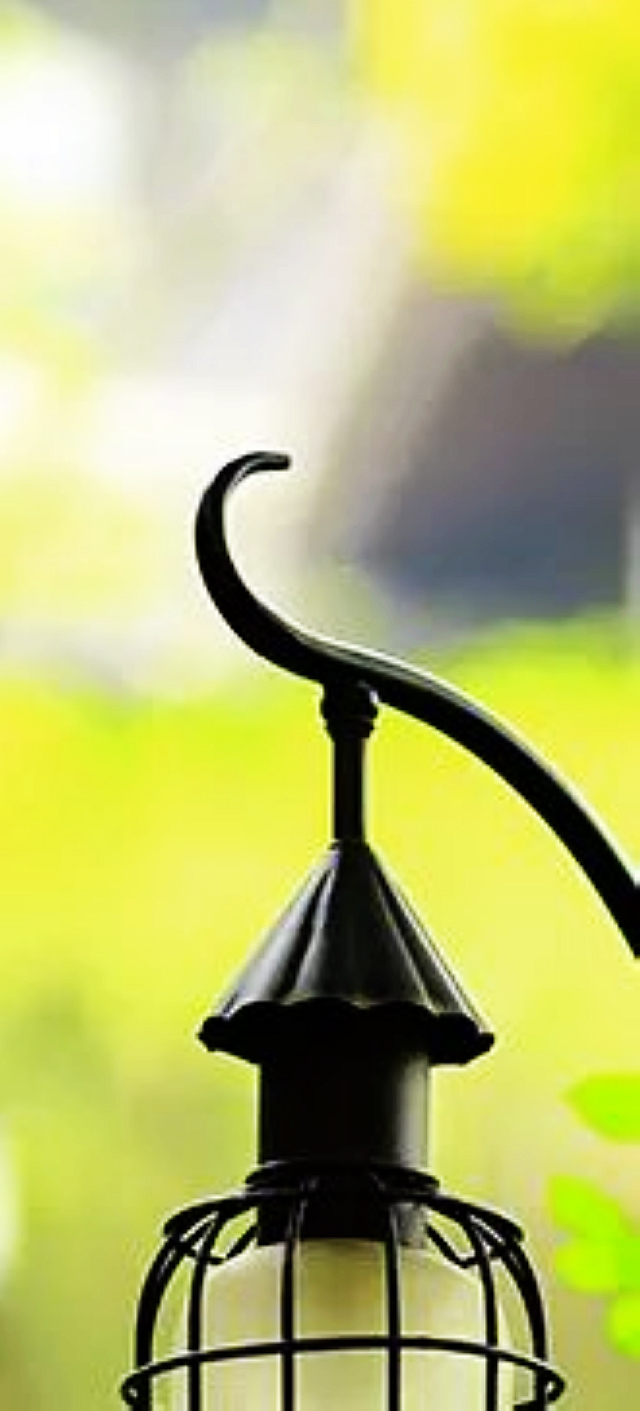 【扩散】怀孕期间,能啪吗?(有福利)(图4) nEO_IMG_4.jpg