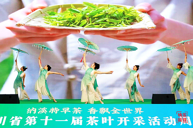 四川省第十一届茶叶开采活动周在纳溪启动(图2) nEO_IMG_2.jpg
