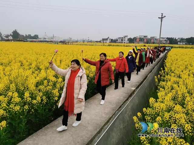 泸县老体协乒羽分会举行“庆三八、赏菜花、健步走”活动(图1) 泸县庆“三八”赏菜花健步走活动2.jpg