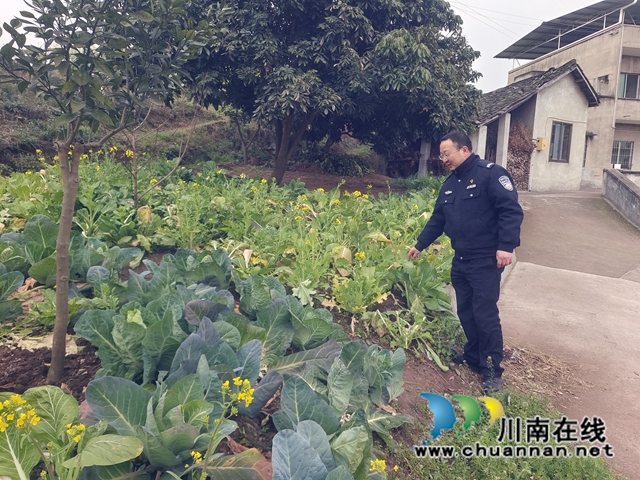 泸县天兴镇:人勤春来早,禁种铲毒踏查忙(图2) 4bbc54974b1006a57dfd1e18ac1e500.jpg