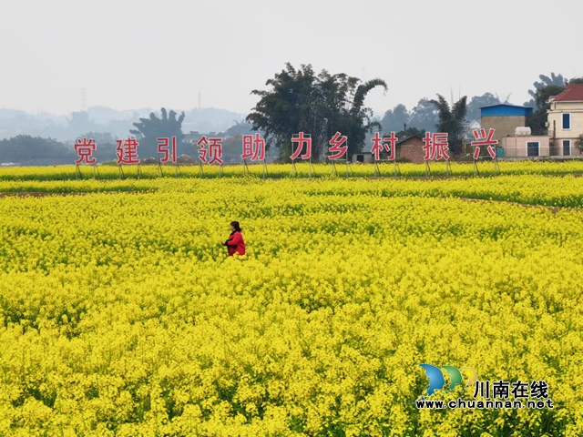 花开海潮 幸福如潮｜3月8日至10日，泸县海潮镇邀请你参加“花田喜事花神节”活动