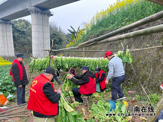 2024.3.5  学雷锋志愿活动1 (1).JPG