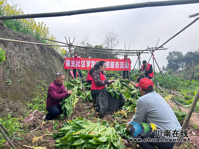 2024.3.5  学雷锋志愿活动1 (2).JPG