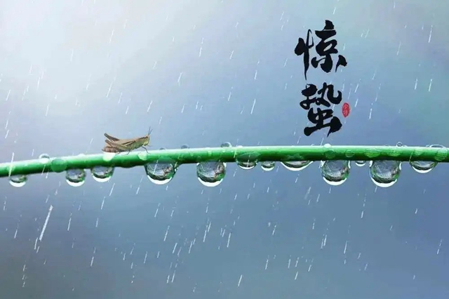微信图片_20240306090025.jpg