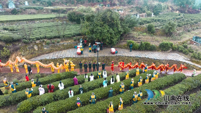 开山祭茶,风调雨顺!古蔺春天的仪式感(图1) 1.jpg