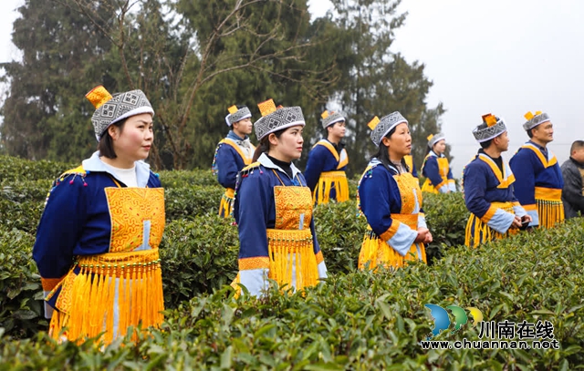 开山祭茶,风调雨顺!古蔺春天的仪式感(图4) 4.jpg