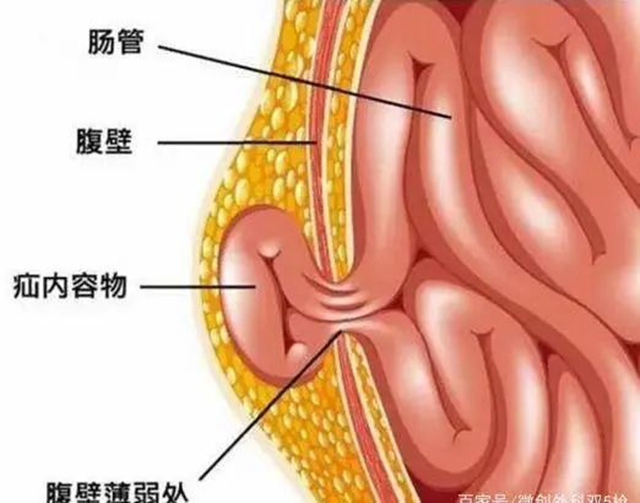 微信图片_20240308092950.jpg
