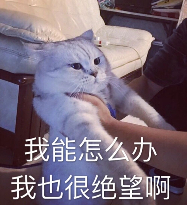 微信图片_20240308094445.jpg