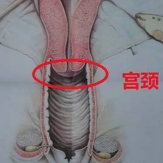 微信图片_20240308094431.jpg