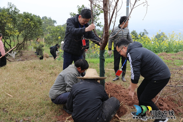 华阳街道：植树添新绿 代表齐参与.jpg