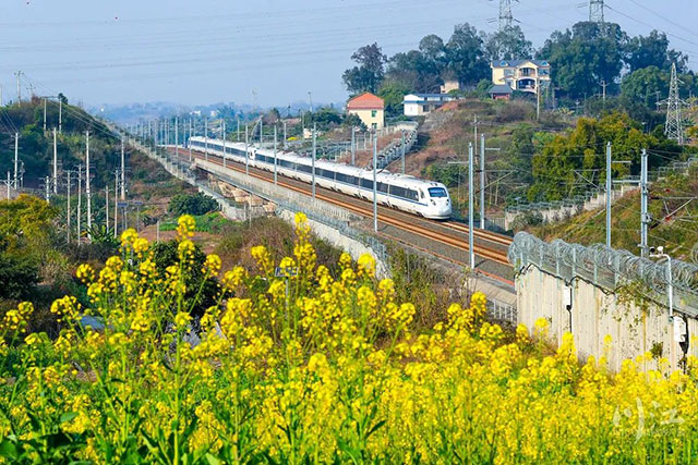 就在下周!泸州开始升温,最高直冲23℃(图1) 1.jpg